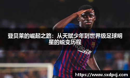 摩根官方网站